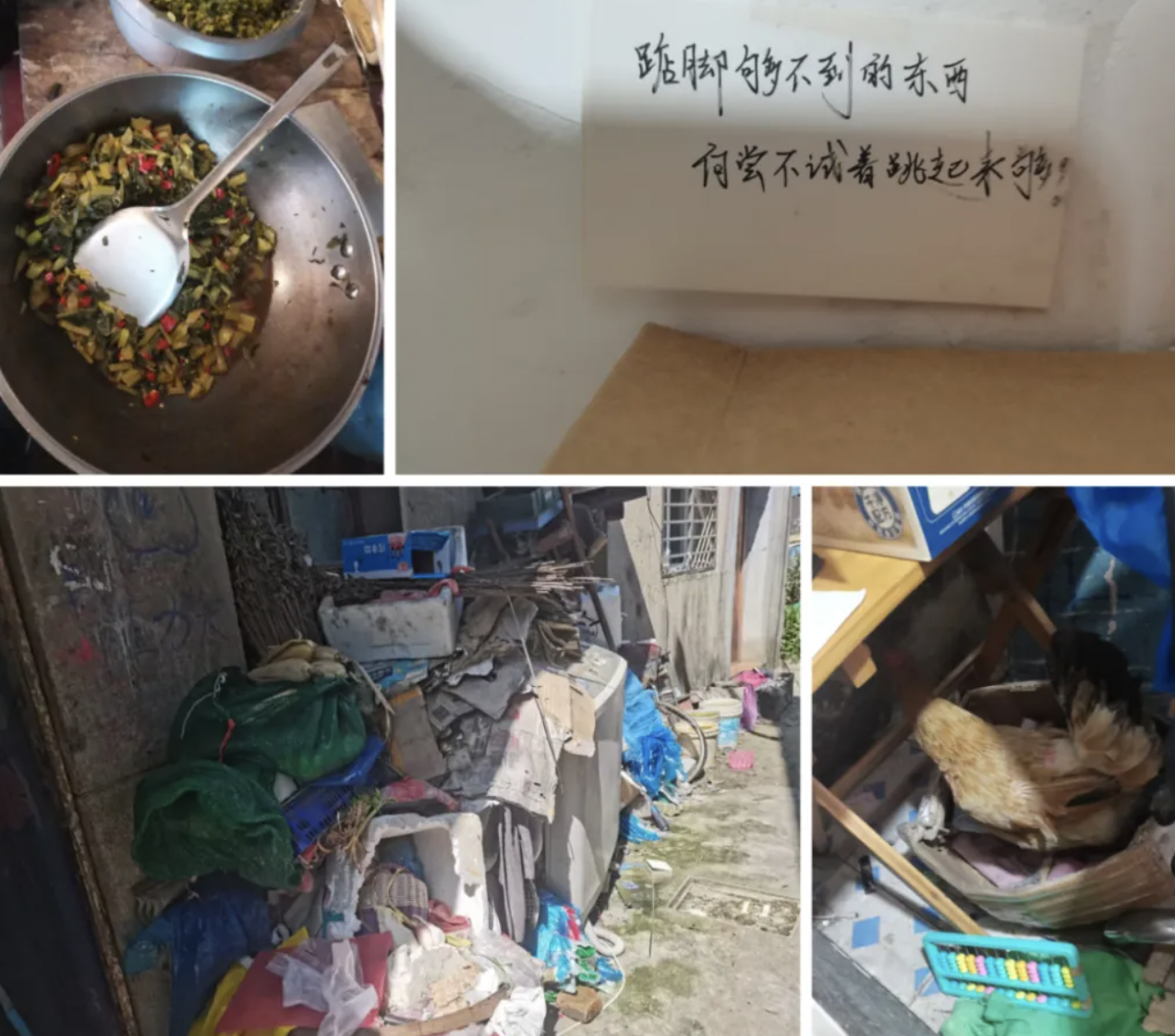 久久公益節(jié)|如果您是他們，能繼續(xù)生活嗎？